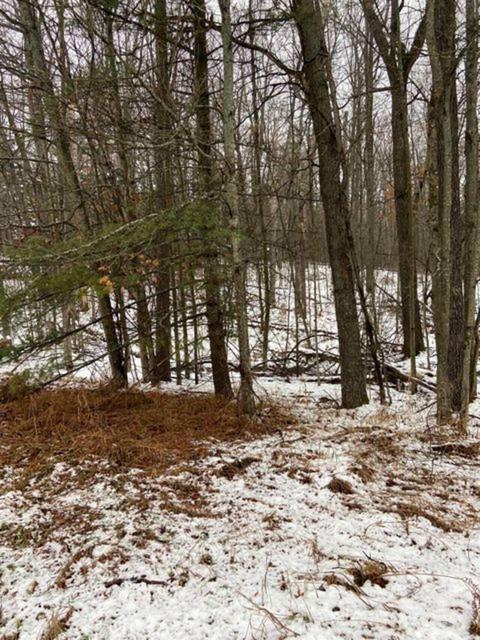 3368 Wildwood Rd #LOT 59, Lewiston, MI 49756