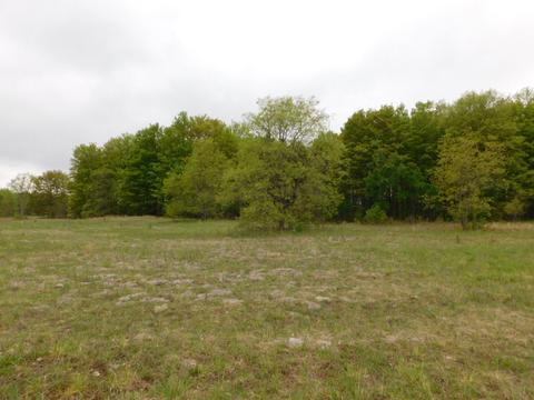 Post Road, Frederic, MI 49733