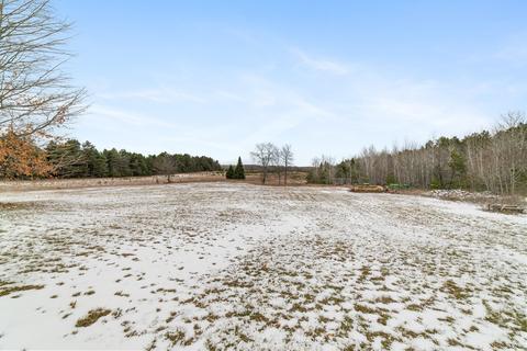 3690 Webb Rd, Wolverine, MI 49799 photo 12