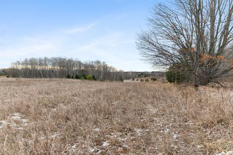 3690 Webb Rd, Wolverine, MI 49799 photo 45