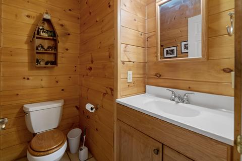 3690 Webb Rd, Wolverine, MI 49799 photo 29