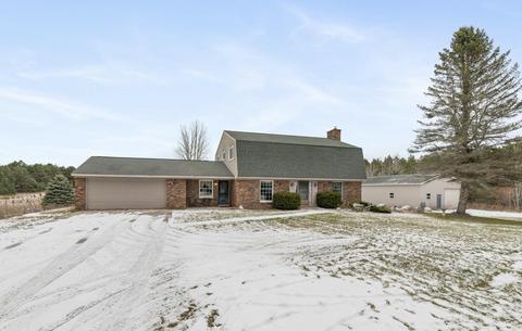 3690 Webb Rd, Wolverine, MI 49799 photo 1