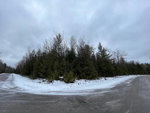 lot353 Pineview Dr, Presque Isle, MI 49777