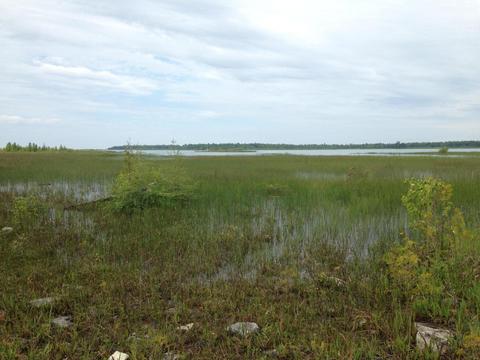 0 Epoufette Bay Road Epoufette Mi 49762 Rd, Epoufette, MI 49762