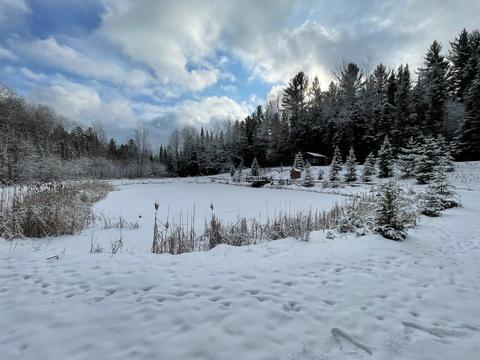 5446 Griffin Road Lewiston Mi 49756 Rd, Lewiston, MI 49756 photo 31