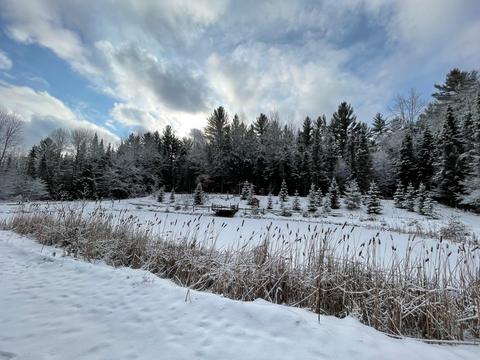 5446 Griffin Road Lewiston Mi 49756 Rd, Lewiston, MI 49756 photo 33