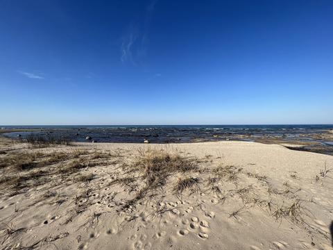 4 Lots Five Nations Ln, Ocqueoc, MI 49759 photo 9