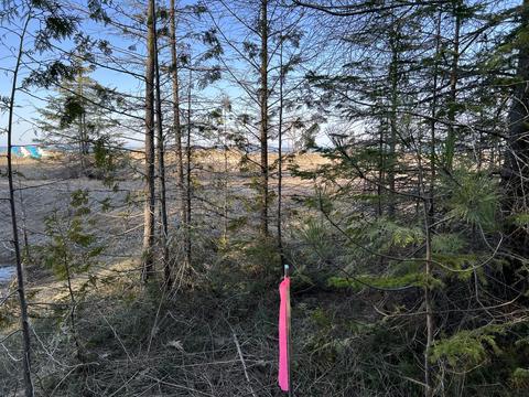 4 Lots Five Nations Ln, Ocqueoc, MI 49759 photo 4