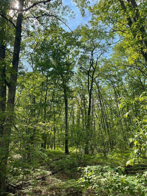 lot Apt 83 Sitzmark Dr, Spruce, MI 48762 photo 5