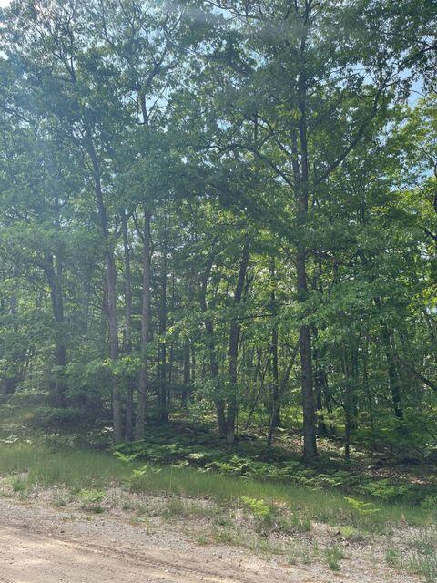 lot Apt 83 Sitzmark Dr, Spruce, MI 48762 photo 4