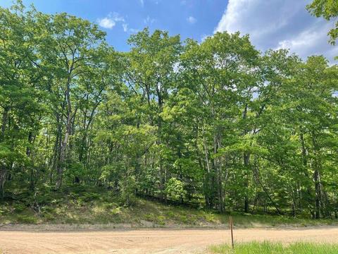 lot Apt 83 Sitzmark Dr, Spruce, MI 48762
