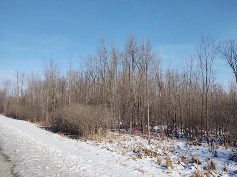 13757 Co Rd 451 53 Acres - Hawks Mi 49743 #53 ACRES +/-, Hawks, MI 49743