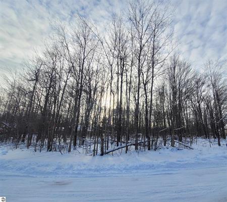 37 Fox Run Dr, Grayling, MI 49738 photo 2