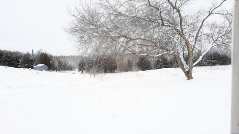 12355 Carney Road Lachine Mi 49753 Rd, Lachine, MI 49753 photo 23