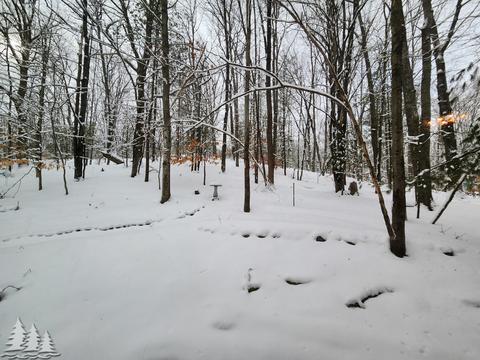 11698 Fascination Dr, Frederic, MI 49733 photo 28
