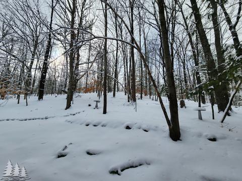 11698 Fascination Dr, Frederic, MI 49733 photo 31