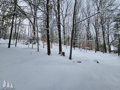 11698 Fascination Dr, Frederic, MI 49733 photo 30