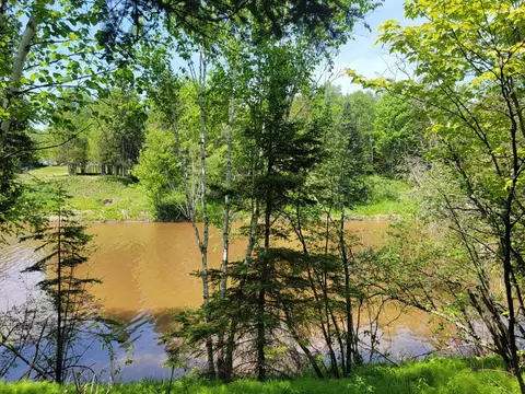 5408 N Pine River Road Hessel Mi 49745 Rd, Hessel, MI 49745
