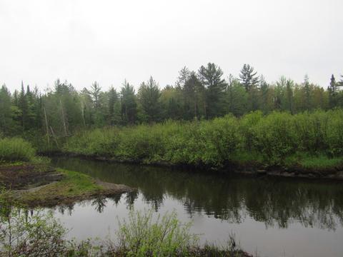 123 Ausable River Trail Roscommon Mi 48653 Trl, Roscommon, MI 48653 photo 46