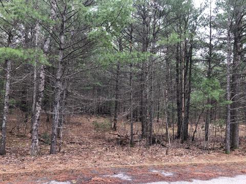 553 White Pine Drive Lot 4 Brutus Mi 49716 Dr #LOT 4, Brutus, MI 49716