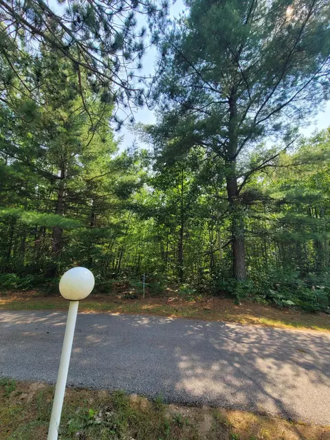 661 White Pine Drive Lot 20 Brutus Mi 49716 Dr #LOT 20, Brutus, MI 49716