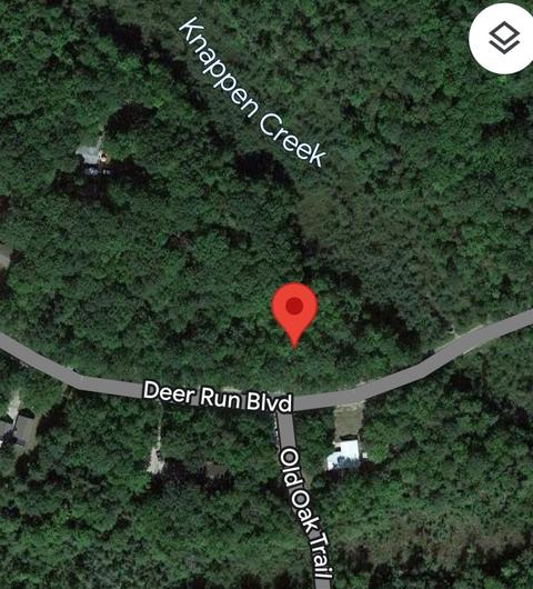 Deer Run, Prudenville, MI 48651