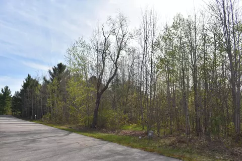 738 White Pine Dr #LOT 25, Brutus, MI 49716