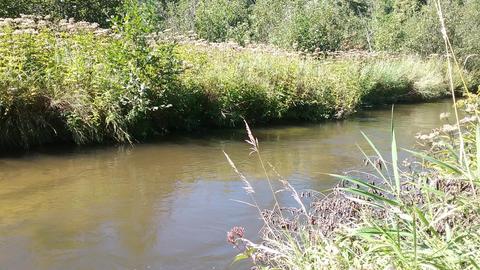 Bear Paw Road, Indian River, MI 49749