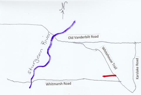 Whitehouse Trail, Vanderbilt, MI 49795