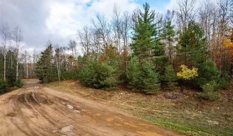 Parcel B Greenway Drive, Frederic, MI 49733 photo 6