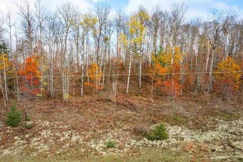Parcel B Greenway Drive, Frederic, MI 49733 photo 8