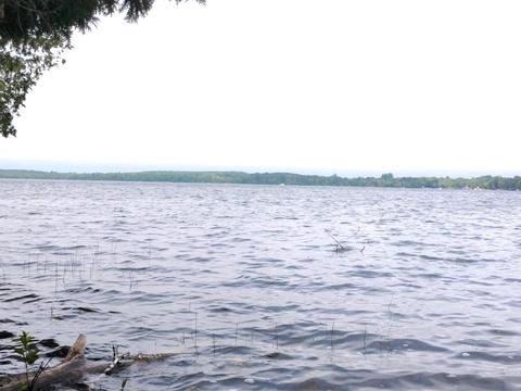 10130 W Munro Lake Dr, Levering, MI 49755