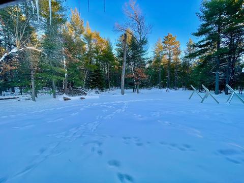 1867 Springvale Dr, Grayling, MI 49738 photo 31
