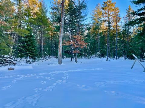1867 Springvale Dr, Grayling, MI 49738 photo 30
