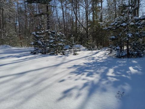 6550 Link Blvd, Indian River, MI 49749 photo 9