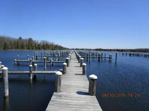 6550 Link Blvd, Indian River, MI 49749 photo 6