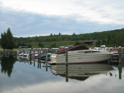 6550 Link Blvd, Indian River, MI 49749 photo 7