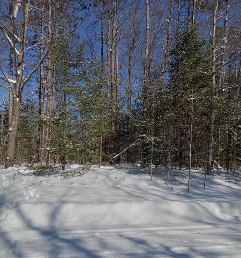 6550 Link Blvd, Indian River, MI 49749 photo 11
