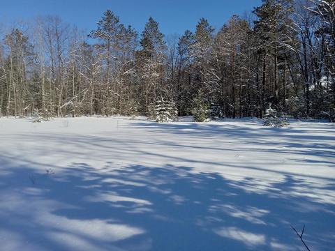 6550 Link Blvd, Indian River, MI 49749 photo 4