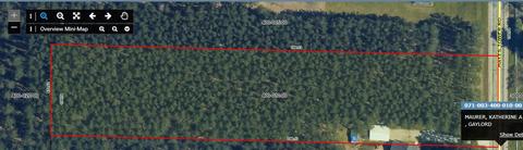 71 Hayes Tower Road #071-003-400-010-00, Gaylord, MI 49735