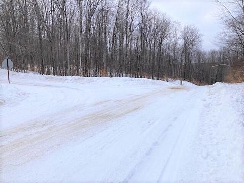 15315 Maple Glen Drive Wolverine Mi 49799 Dr, Wolverine, MI 49799 photo 16