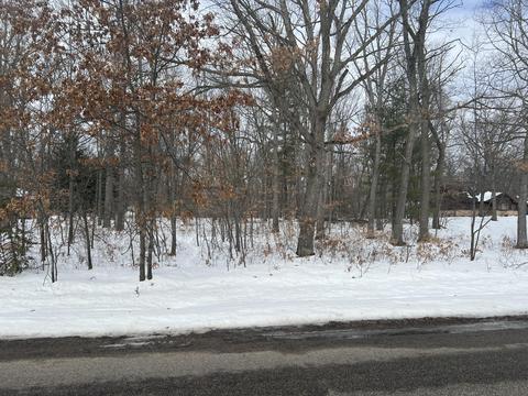 Par 4 W School Road, Roscommon, MI 48653