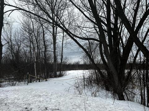 West Shore Drive, Houghton Lake, MI 48629