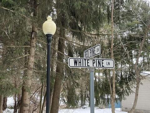 lot S 2223 Red Pine Lane Croswell Mi 48422 Ln, Croswell, MI 48422