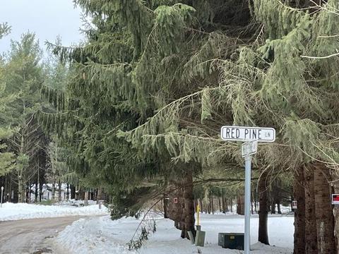 lot25 Red Pine Lane Croswell Mi 48422 Ln, Croswell, MI 48422