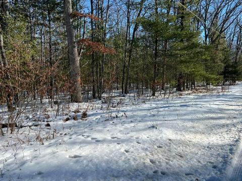2410 E Higgins Lake Drive Roscommon Mi 48653 Dr, Roscommon, MI 48653 photo 2