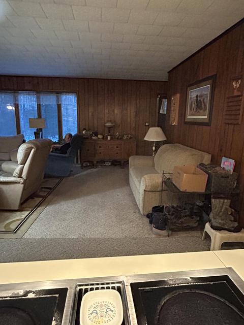 2410 E Higgins Lake Drive Roscommon Mi 48653 Dr, Roscommon, MI 48653 photo 5