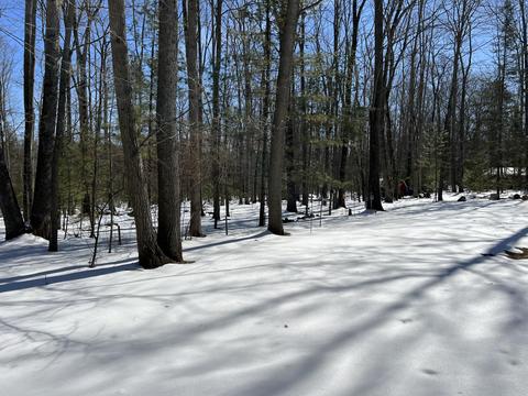 2410 E Higgins Lake Drive Roscommon Mi 48653 Dr, Roscommon, MI 48653 photo 33