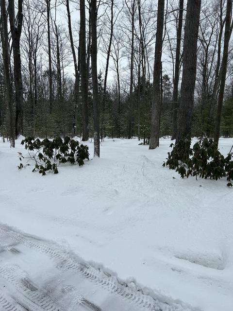 2410 E Higgins Lake Drive Roscommon Mi 48653 Dr, Roscommon, MI 48653 photo 20