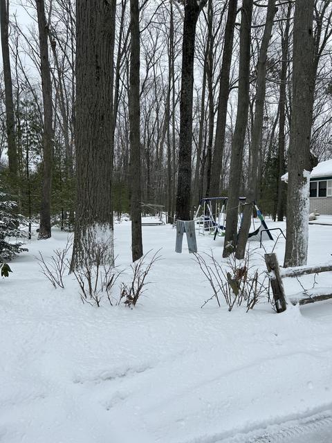 2410 E Higgins Lake Drive Roscommon Mi 48653 Dr, Roscommon, MI 48653 photo 19